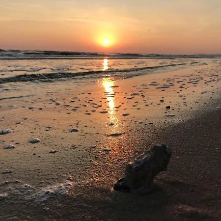 Fewo Hoeft Nur 500m Vom Ostseestrand Entfernt * 젤핀